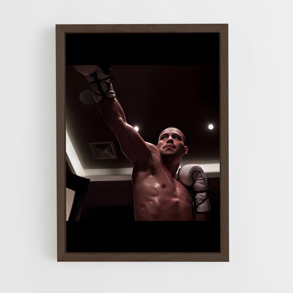 Poster Robin van Punchline – affiche Kick-boxing (vue 5)